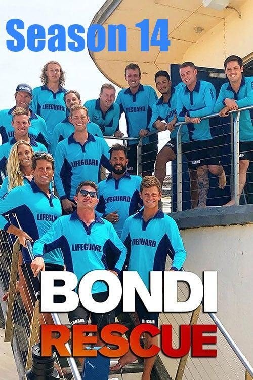 Poster for Season 14