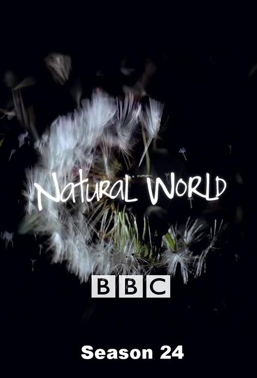 Poster for Season 24