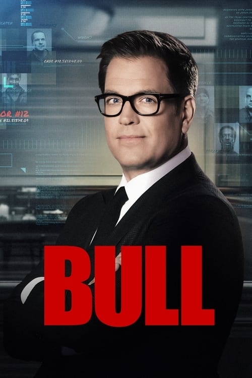 Poster for Bull