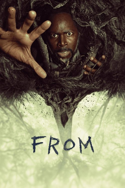 Poster for FROM