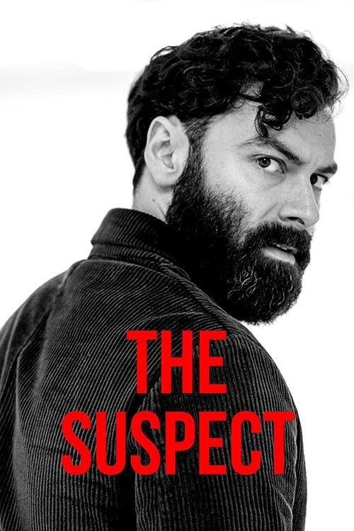 Poster for Limited Series