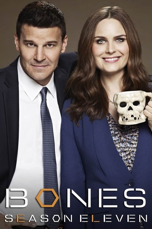 Poster for Season 11
