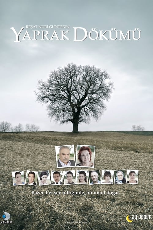 Poster for Yaprak Dökümü