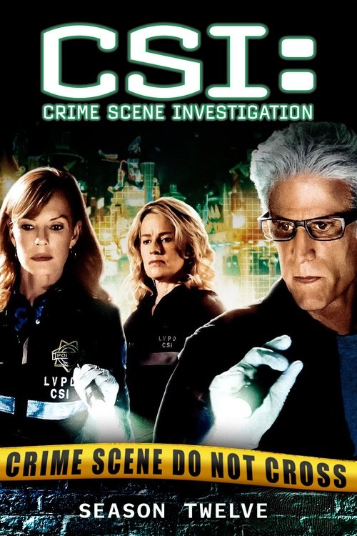 Poster for Season 12