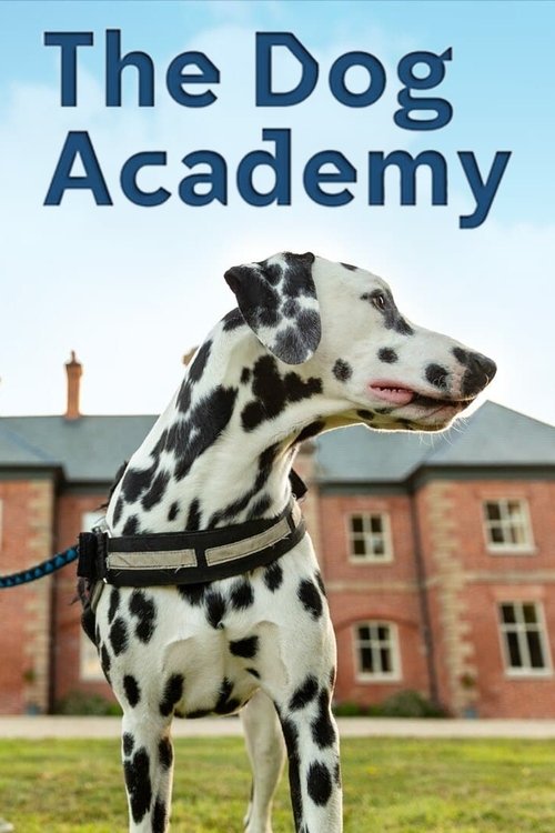 Poster for Bad Dog Academy