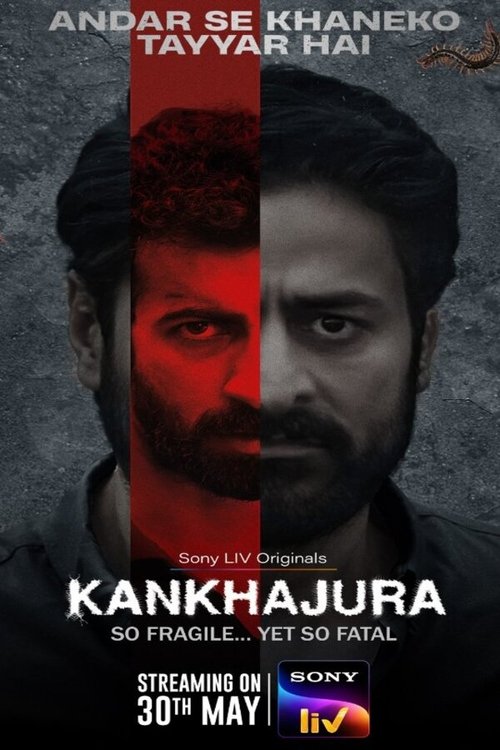 Poster for Season 1