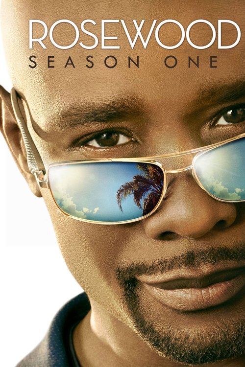 Poster for Season 1
