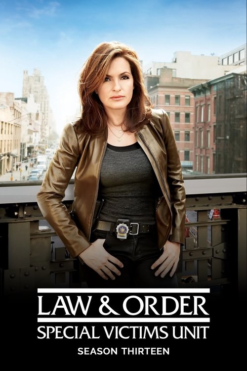 Poster for Season 13