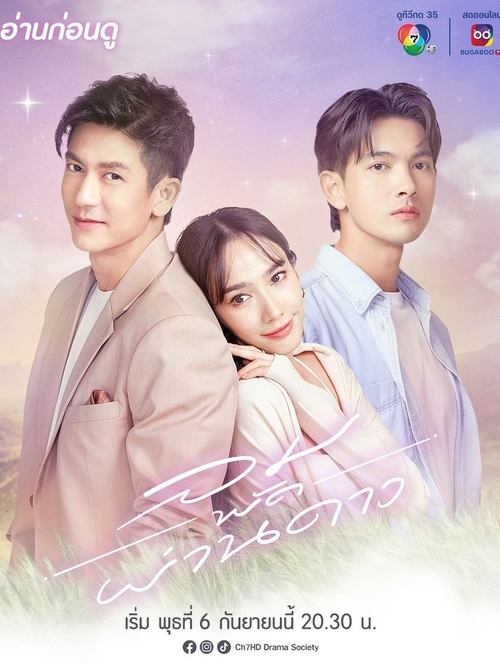 Poster for Something In The Wind