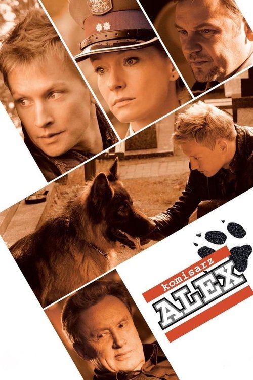 Poster for Komisarz Alex