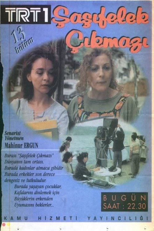 Poster for Şaşıfelek Çıkmazı