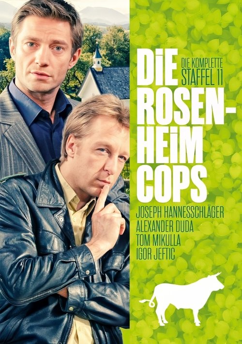 Poster for Season 11