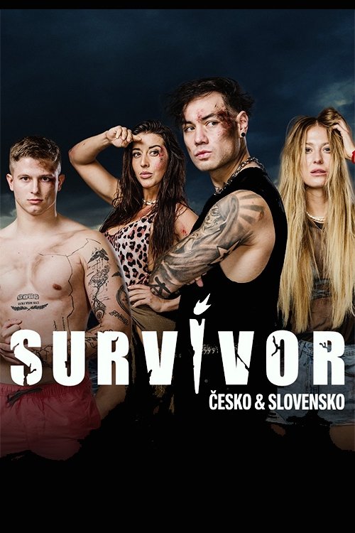 Poster for Season 4