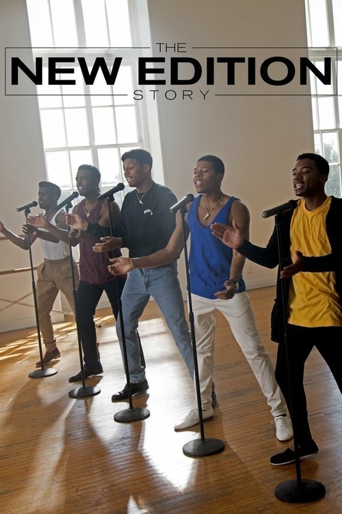 Poster for The New Edition Story