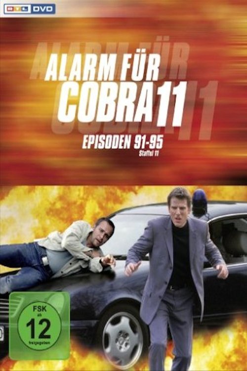Poster for Season 13