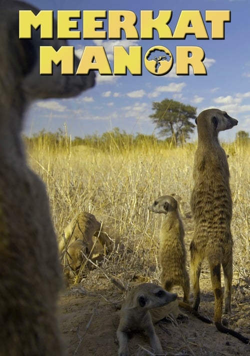 Poster for Meerkat Manor