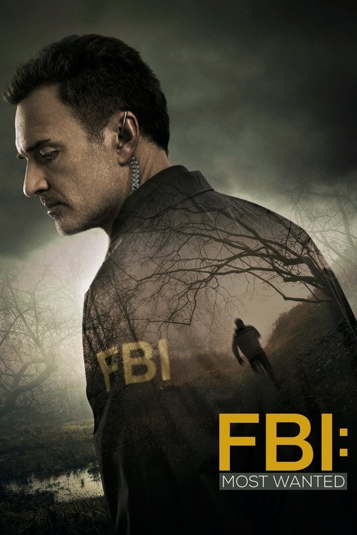 Poster for Season 1