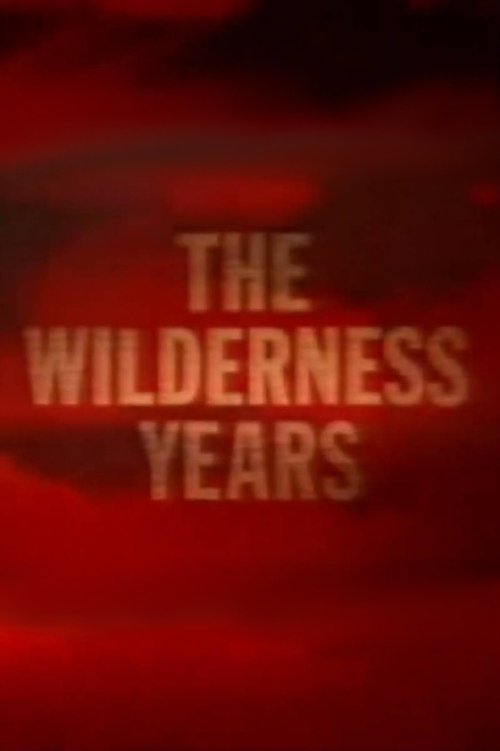 Poster for The Wilderness Years