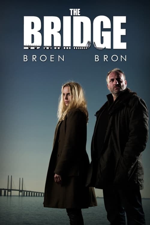 Poster for The Bridge