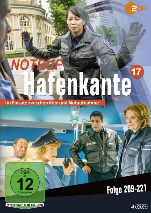 Poster for Season 17