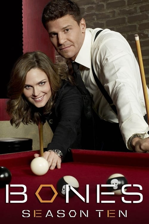 Poster for Season 10