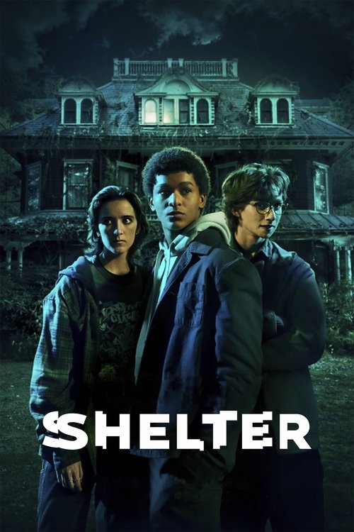 Poster for Harlan Coben's Shelter