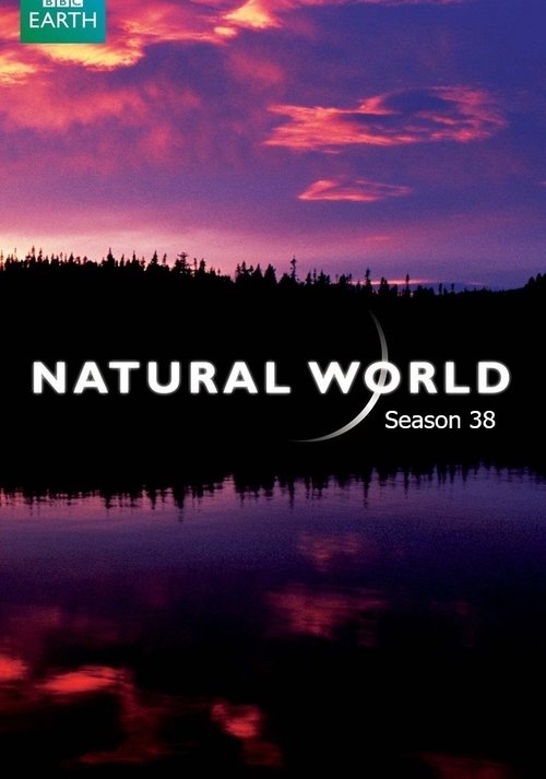 Poster for Season 38