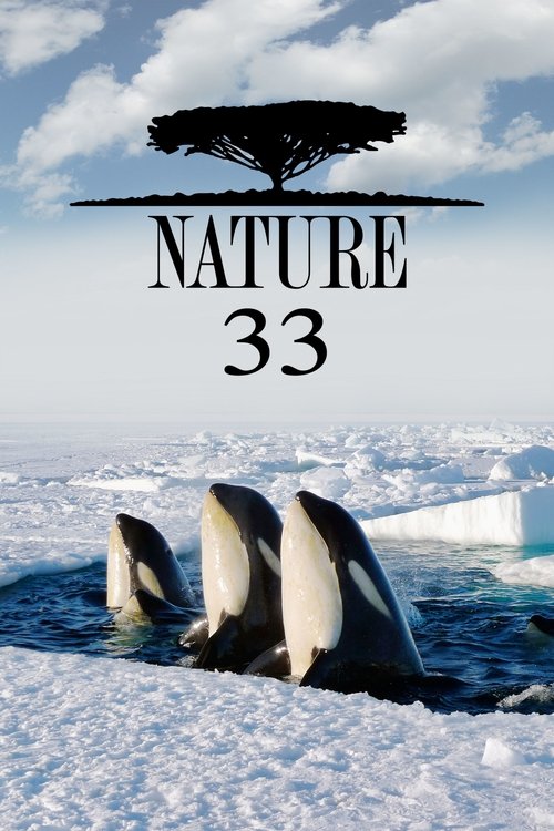 Poster for Season 33