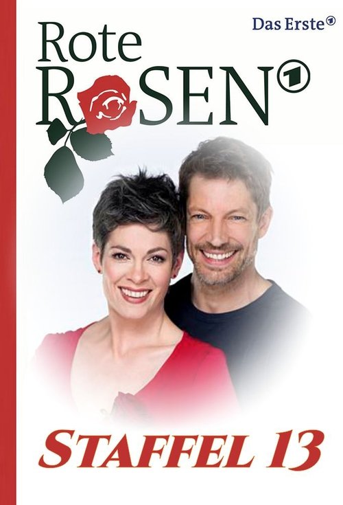 Poster for Season 13
