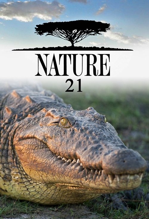Poster for Season 21