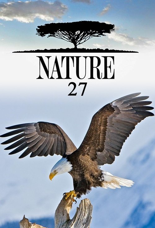 Poster for Season 27