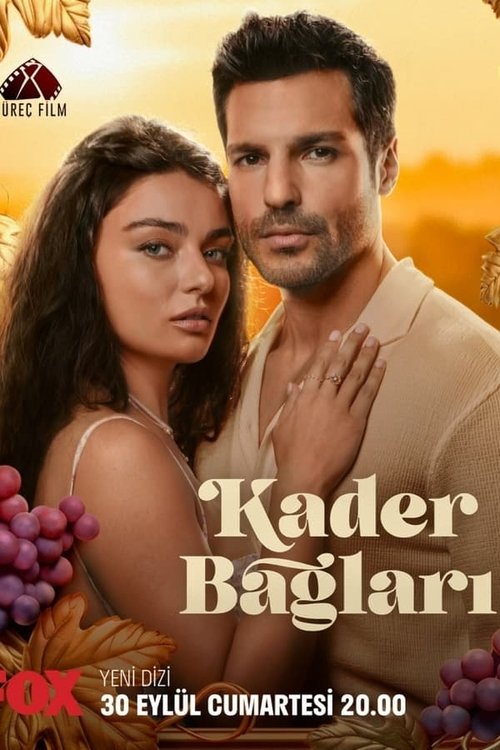 Poster for Season 1