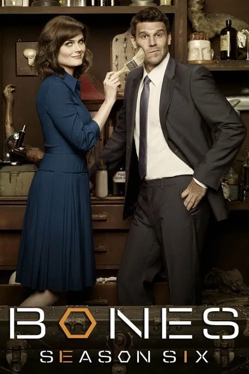 Poster for Season 6