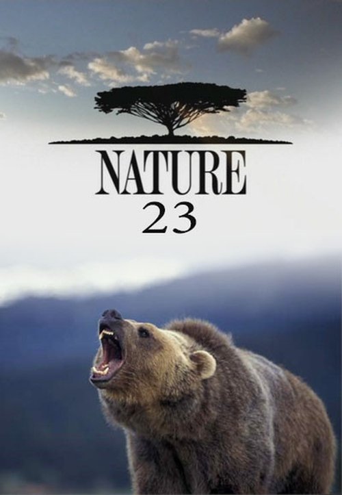 Poster for Season 23