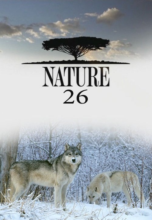 Poster for Season 26