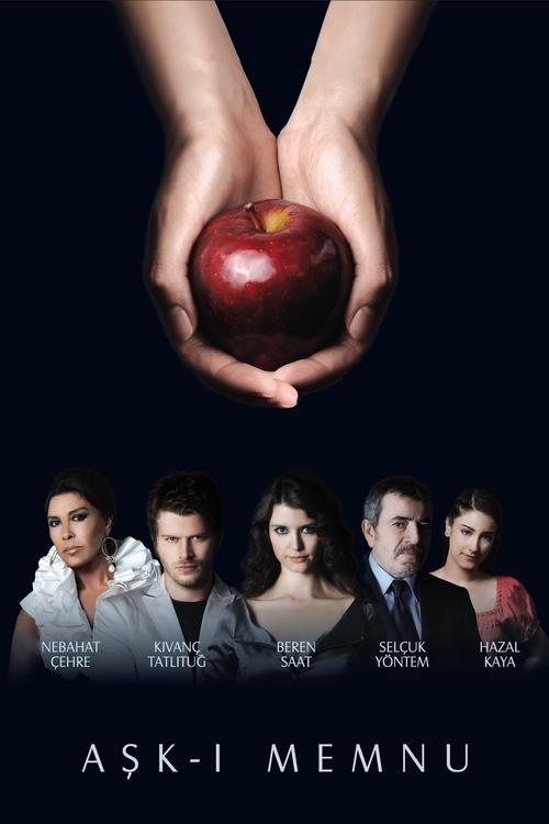 Poster for Forbidden Love