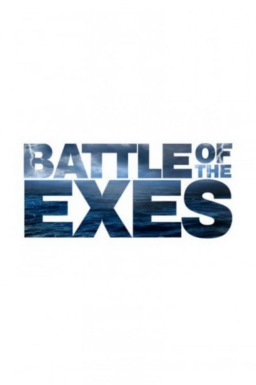 Poster for Battle of the Exes