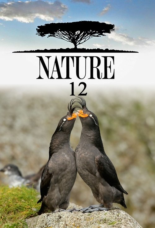 Poster for Season 12