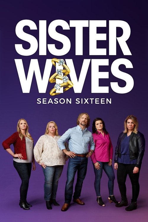 Poster for Season 13