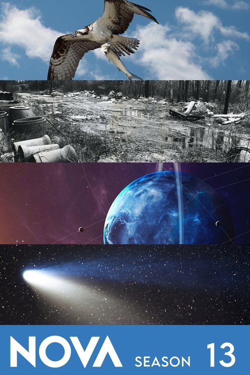 Poster for Season 13