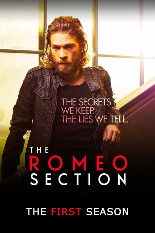 Poster for Season 1
