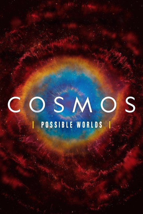 Poster for Possible Worlds