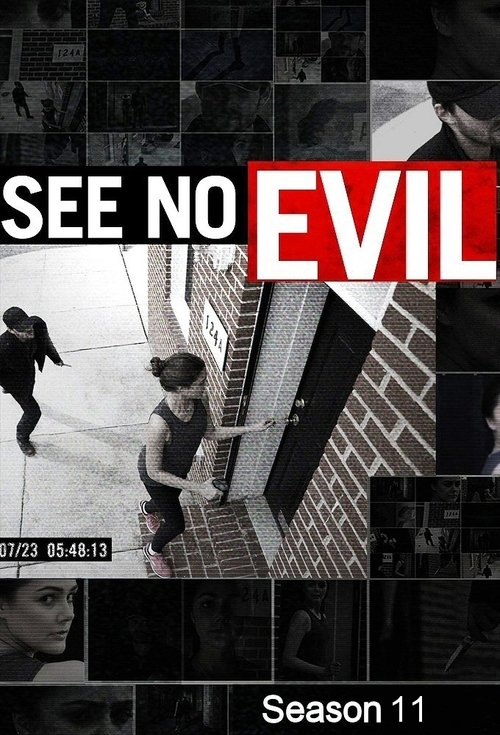 Poster for Season 11