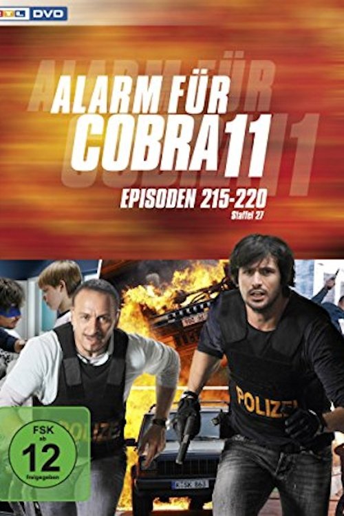 Poster for Season 29
