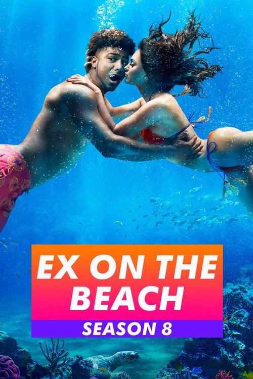 Poster for Season 8