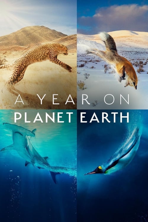 Poster for A Year on Planet Earth